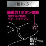 百戦錬磨シリーズミニスティックローターカリ - 画像 (4)