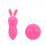 高速リニアバイブ ミス・バニー