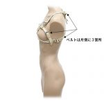 雅シリーズ 〜乳枷〜（白） - 画像 (9)