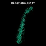 ファイヤーフライグラス Gスポットグローワンド - 画像 (8)