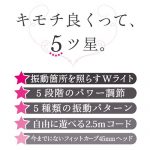 フェアリー　ファイブスター - 画像 (13)