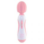 ニューフェアリーグレース