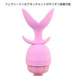 ニューフェアリーグレース - 画像 (11)