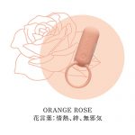 iroha×TENGA SVR COLLABORATION SET - 画像 (6)