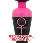 palmpower（パームパワー） リチャージ - 画像 (6)