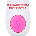 実力主義スリムバイブ　Dick - 画像 (5)