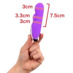 実力主義ハンディバイブ - 画像 (5)