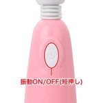 ラブレッスン　ミニデンマ - 画像 (5)