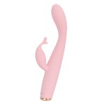 Erocome　シグナスキス