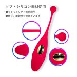 ピンポイントW ワイヤレス - 画像 (3)