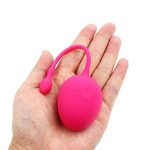 リモコンバイブ うるる - 画像 (4)