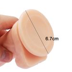 調教Wペニスバンド - 画像 (11)